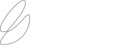 traveller